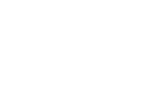 Logo Fiberplus